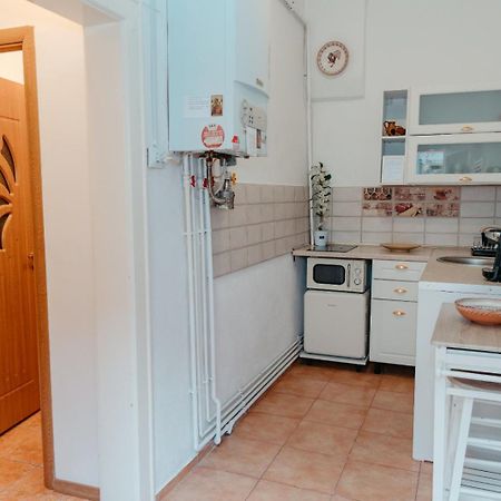 Flh - Apartament Mai Cu Aroma De Cafea Si Ceai シビウ エクステリア 写真